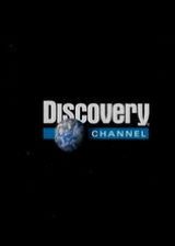 Discovery-ǿƼ̺