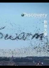 Discovery-