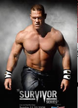 ǿ/WWE Survivor Series