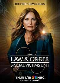 法律与秩序：特殊受害者 第25季海报
